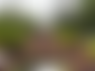 Rua da Aurora: excesso de eventos causa revolta à população