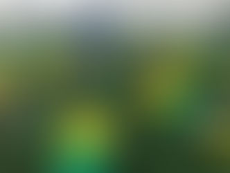 Fisioterapia Esportiva da QuimFisio presente na 1º Fase de Treinamento da Seleção Brasileira de Fute