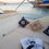 Küçük resim: Bodrum kiralık motoryat tekne Aegean Angel