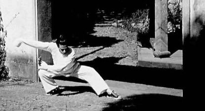 Wan Gond She Hu; Bending The Bow To Shoot A Tiger  (Taijiquan) performed by Dan Vercammen
