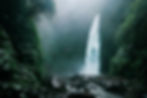 NATURALEZA