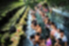 RITUAL DE PURIFICACIÓN
