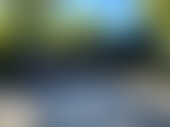 Serene Lakeside Custom Home Build