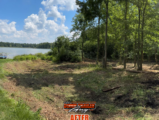Lake View Clearing