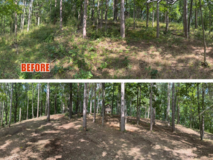 Hunting Trail Clearing