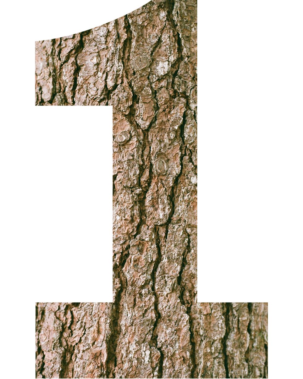 1 forest mulching.png