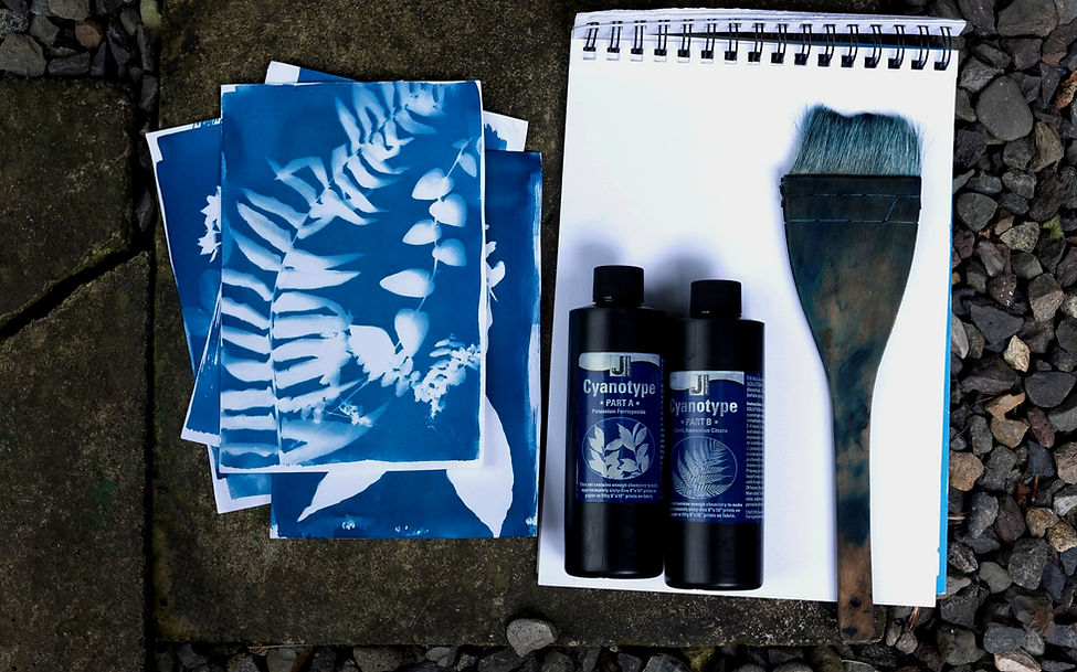 What you need to make cyanotypes by Tracey Thorne
