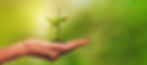 leaf-g0ce4fc391_1920.jpg