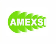 logo amexsi.jpg
