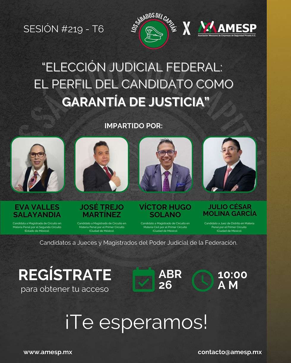 ELECCION JUDICIAL FEDERAL: EL PERFIL DEL CANDIDATO COMO GARANTIA DE JUSTICIA