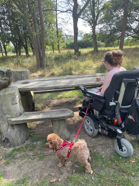 Bramshot Farm Country Park Access review