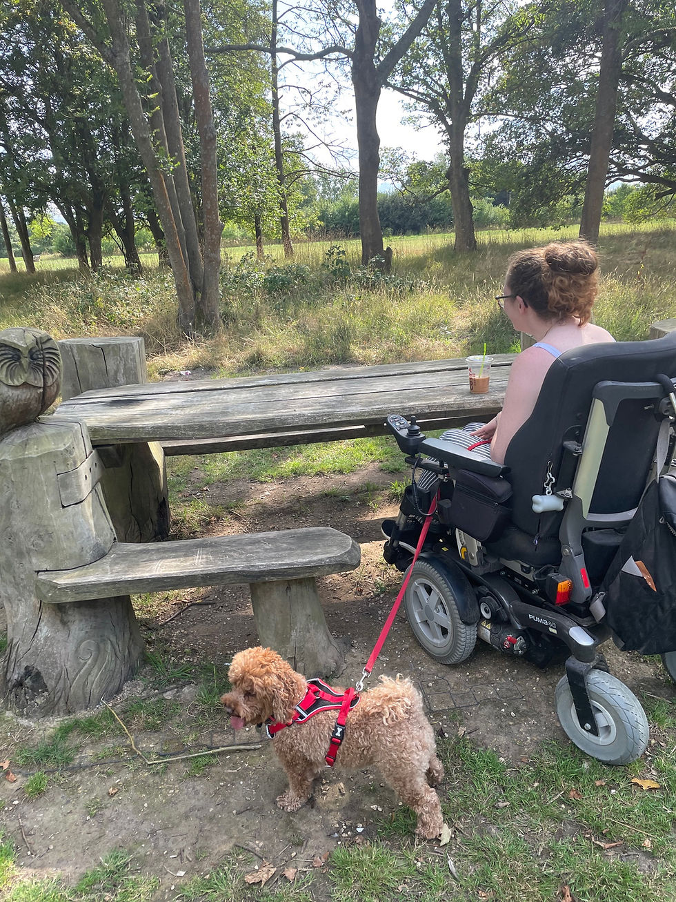 A young woman in a powerchair uses the accessible picnic tables with her dog on a lead