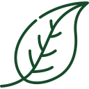 leaf.png