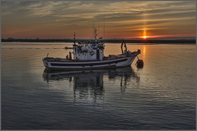 GONE FISHING