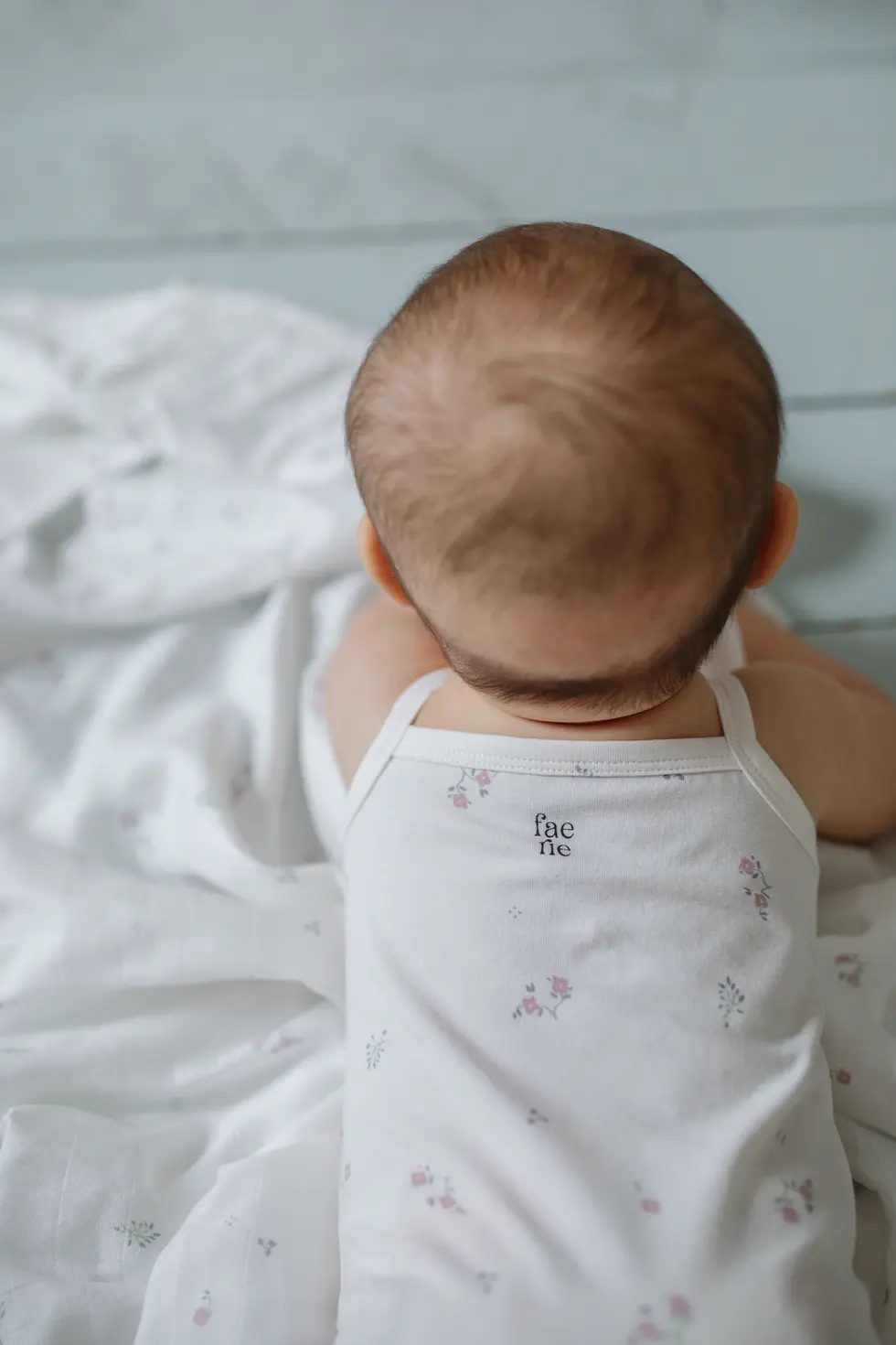 faerie undies + Merrilee Liddiard