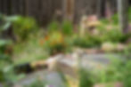 A7V02525.jpg