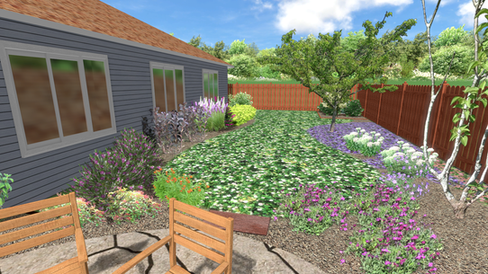 WHG: 3D Design, Patio hardscaping with clover ground cover and perennial plants