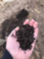 Hand holding forest compost soil 