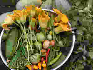 Organic vegetables grown at home. Vegetable garden. Harvest. Produce. Healing foods.