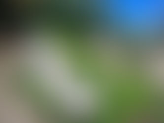 Get Your Kids In The Garden pt. 2 - Outdoor play!