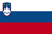 EU Member Slovakia Flag