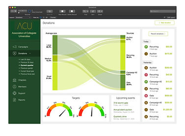 Charts and reports filemaker