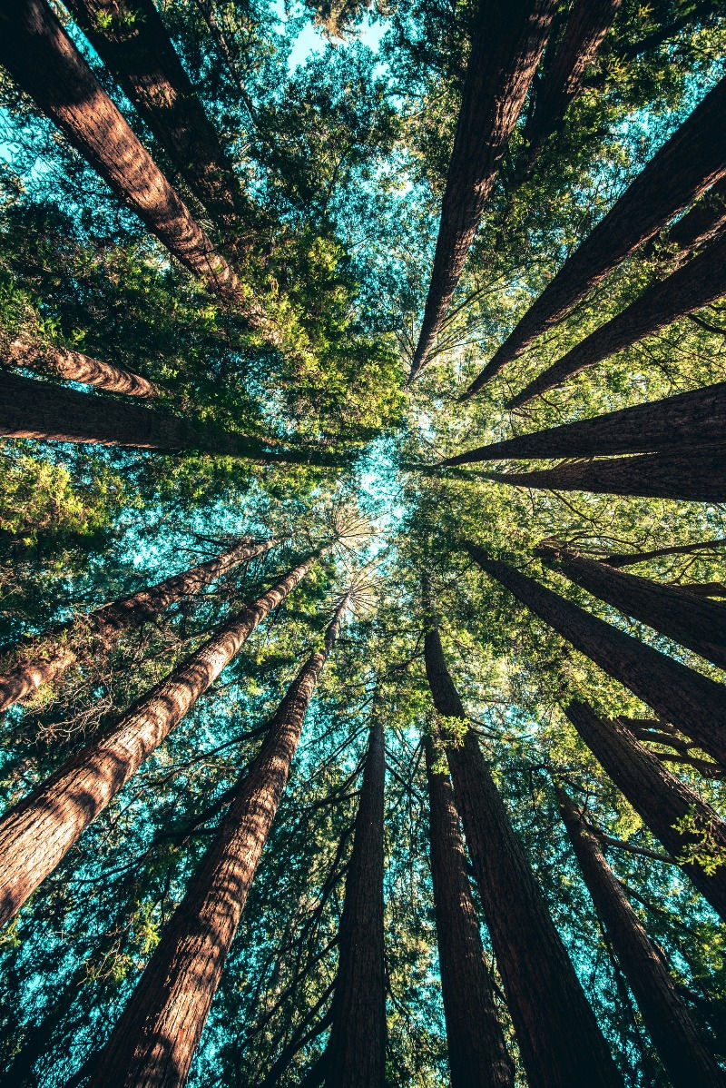 casey-horner-4rDCa5hBlCs-unsplash_edited