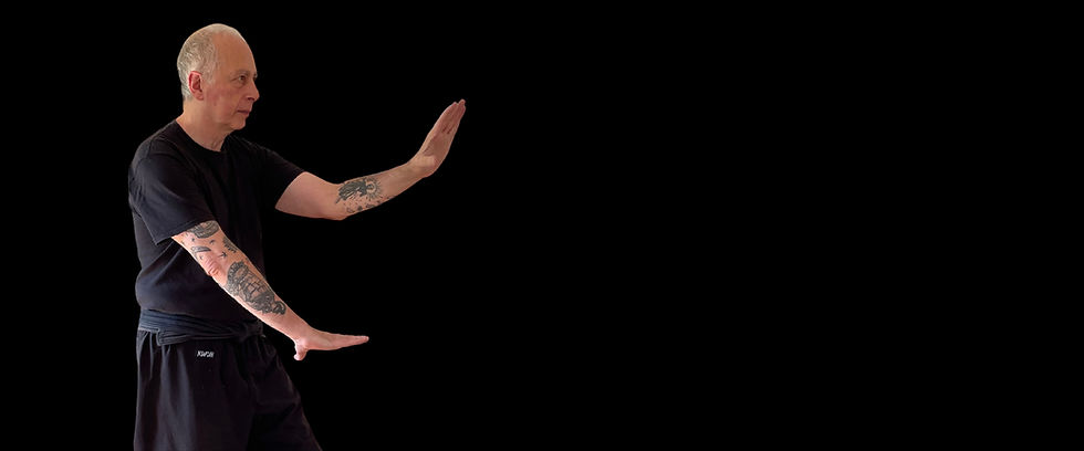 Hsing I Chuan patrick Borne Neijia quan institut