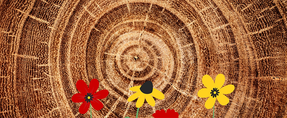 Atelier des 5 saisons printemps bois Patrick Borne instructeur Qi Gong qi gong santé arts