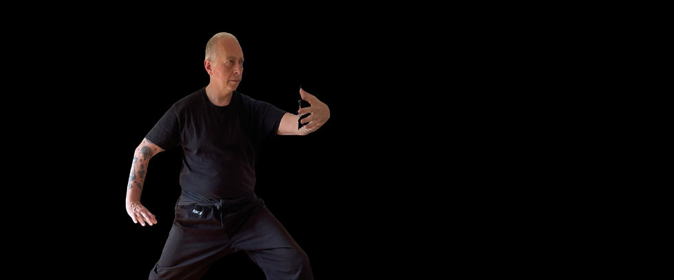 Tai chi chuan patrick Borne Neijia quan institut