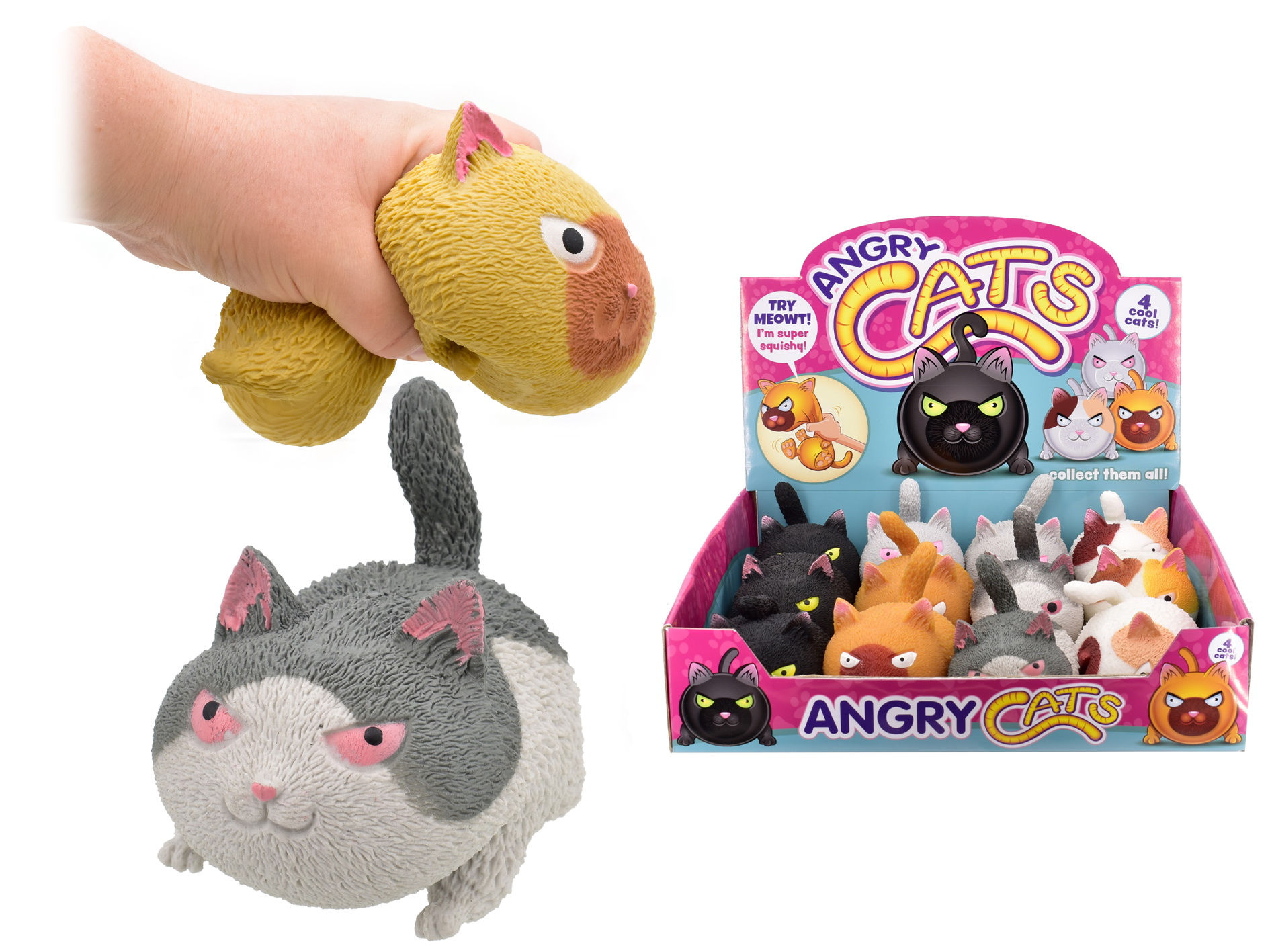 Angry Cats