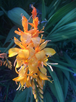 8f3af545-a7ef-4833-aa2f-779abedf89a2