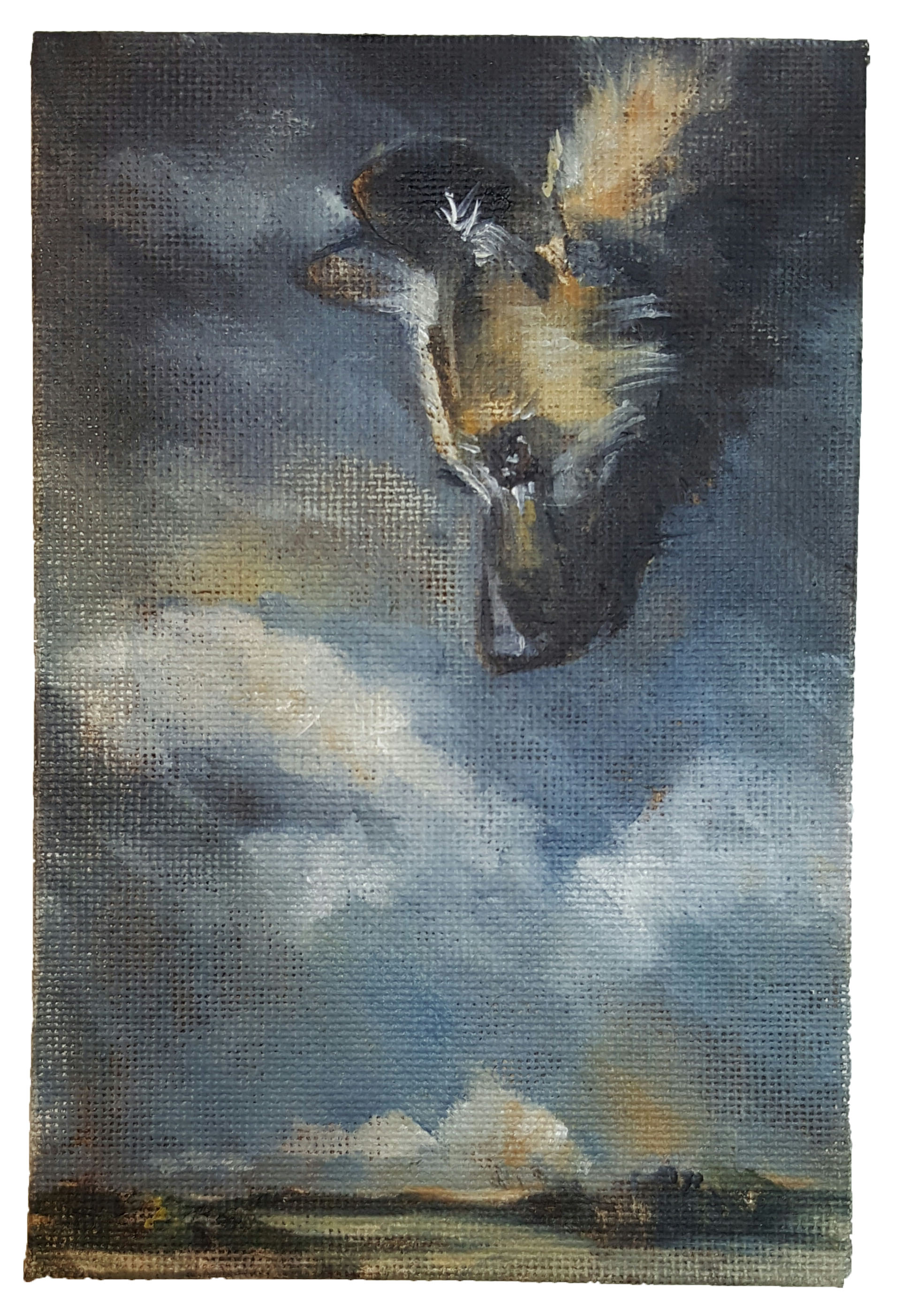 Michelle Dawson God's Hunting Dog