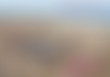 Art in the Pub - Fiona Foley Monday 20th February 2017. 6 pm for a 6.30 pm start.