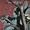 Thumbnail: THE TREE
