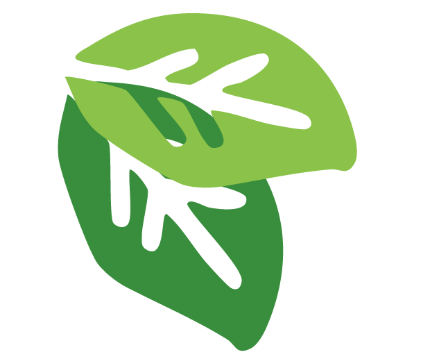 עלים-3.png