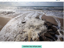 Hamas’s Shit