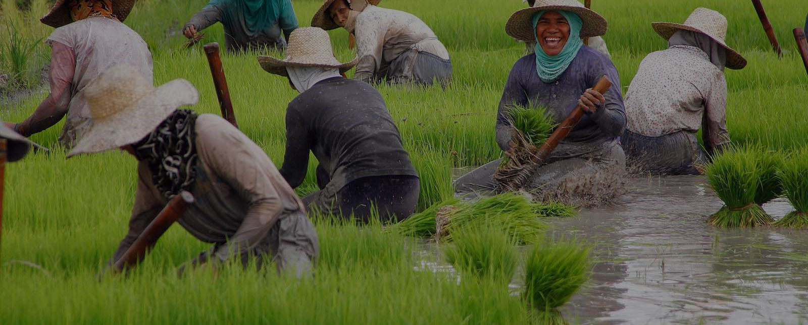 Food Security