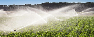 Drip Irrigation