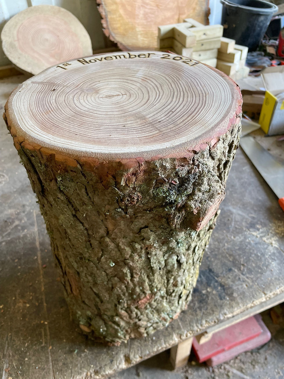 Thumbnail: Personalised Rustic wooden log stool with bark, garden seating, fire pit stool f