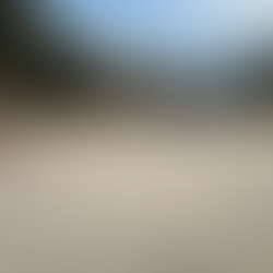 Reviving Browndell: Community Center & Playground Needs Your Help