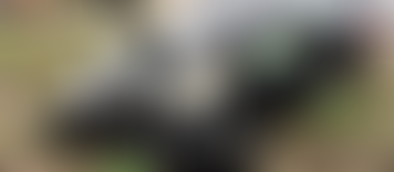 Fatal Two-Vehicle Crash on College Drive Claims Life of Pollok Man