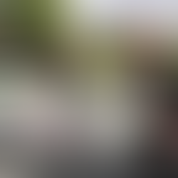 Toys for Tots Announces 2025 Donation Sites & County-Wide Partnerships for Newton & Tyler Counties