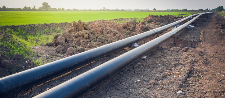 Federal Records Confirm CP Express Pipeline Includes Jasper and Newton Counties