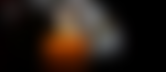 Obituary of Sandra Jean Ringer