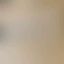 Rep. Harrison Demands Texas DMV Block Vehicle Registrations by Non-Citizens