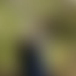 UPDATE: Investigation Continues in the Search for Missing Newton County Man