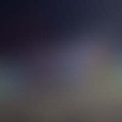 Driver Injured After Swerving to Avoid Cow on FM 1013 Sunday Evening