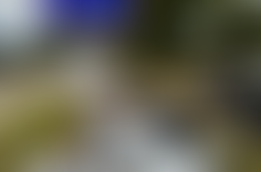 Master Gardeners and volunteers collect massive amount of roadside litter during Jasper Fall Sweep