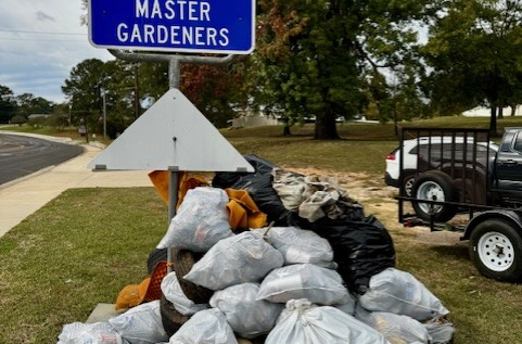 Master Gardeners and volunteers collect massive amount of roadside litter during Jasper Fall Sweep
